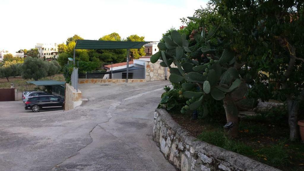 Villa Natura Sea View فيستَ المظهر الخارجي الصورة